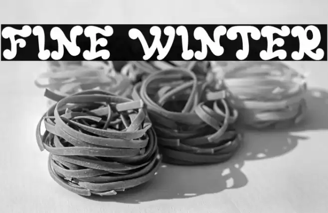 FINE WINTER Font examples