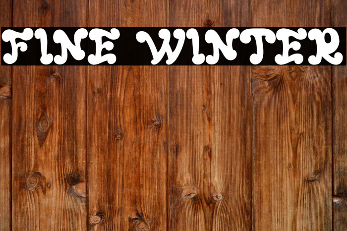 FINE WINTER Example 2