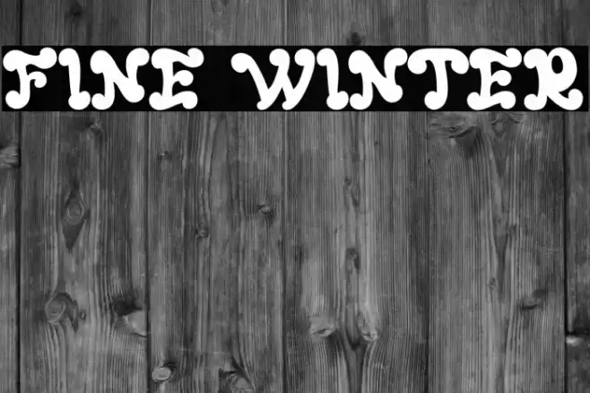 FINE WINTER Font examples