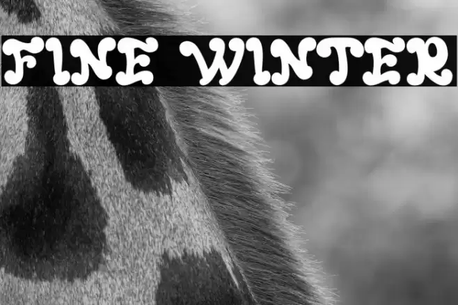 FINE WINTER Font examples