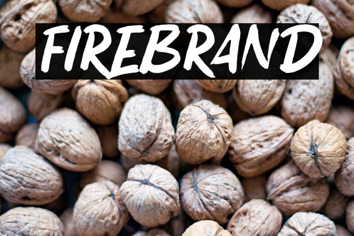 FIREBRAND Example 2