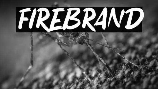FIREBRAND Font examples