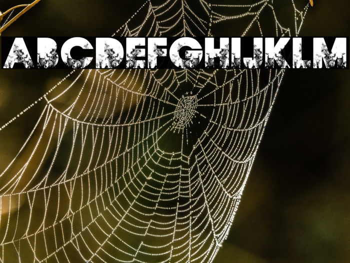 FIRES PERSONAL USE Bold Example 1