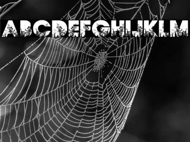 FIRES PERSONAL USE Bold Font examples