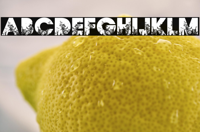 FIRES PERSONAL USE Bold Example 2