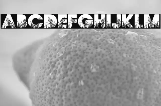 FIRES PERSONAL USE Bold Font examples