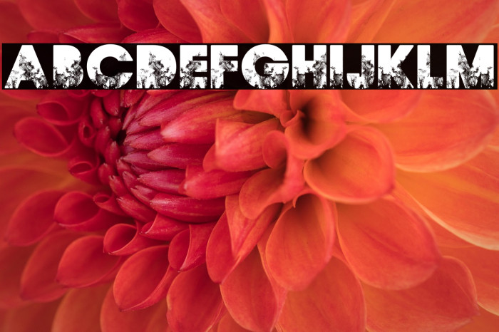 FIRES PERSONAL USE Bold Example 3