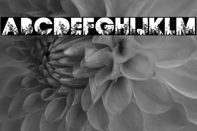 FIRES PERSONAL USE Bold Font examples