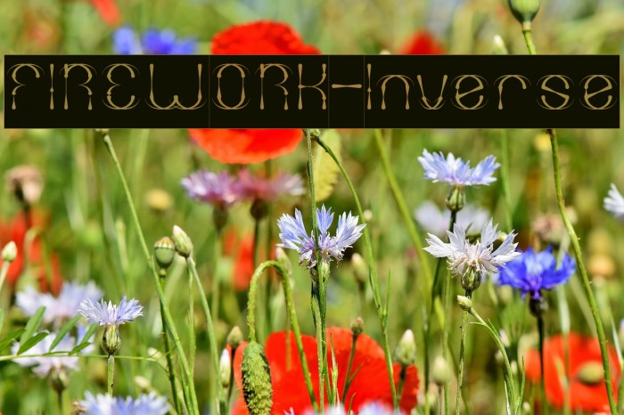 FIREWORK-Inverse Example 1