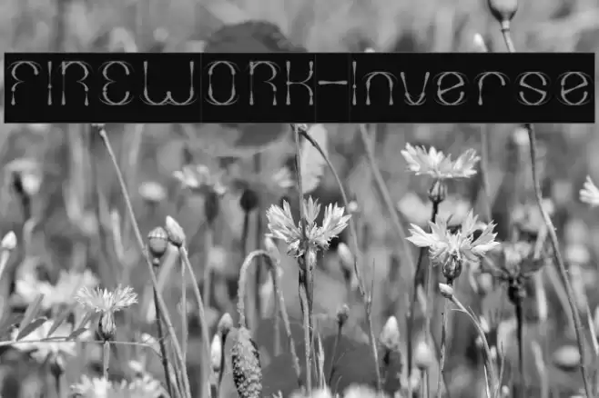 FIREWORK-Inverse Font examples