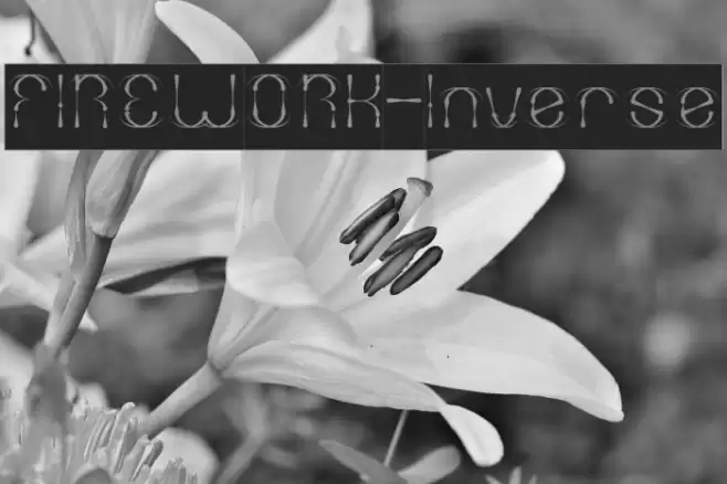 FIREWORK-Inverse Font examples