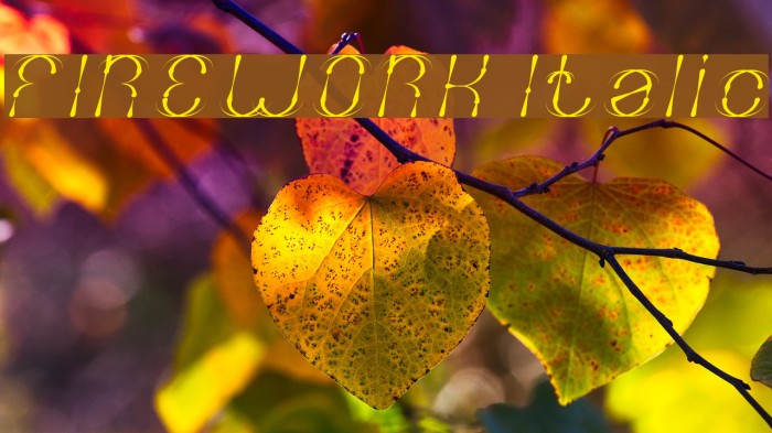 FIREWORK Italic Example 2