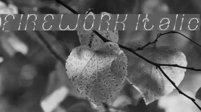 FIREWORK Italic Font examples