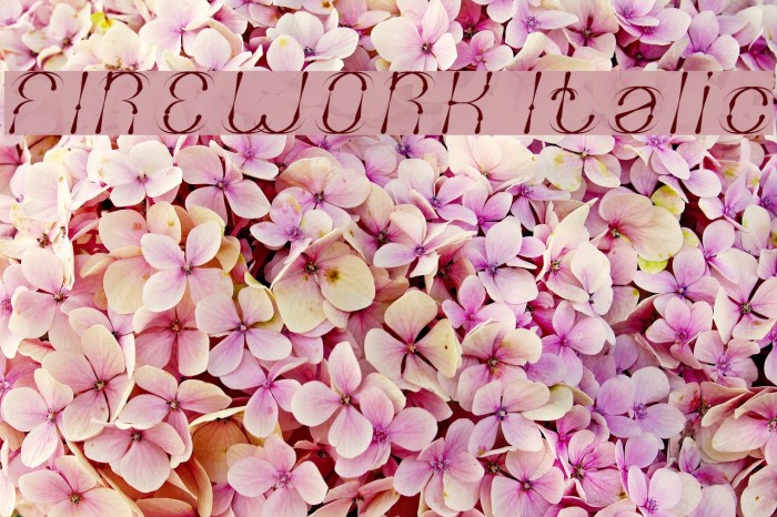 FIREWORK Italic Example 3