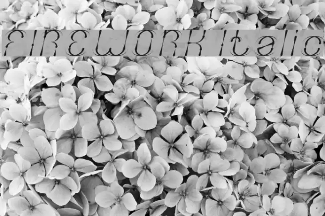 FIREWORK Italic Font examples