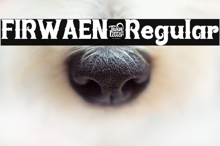 FIRWAEN-Regular Example 2