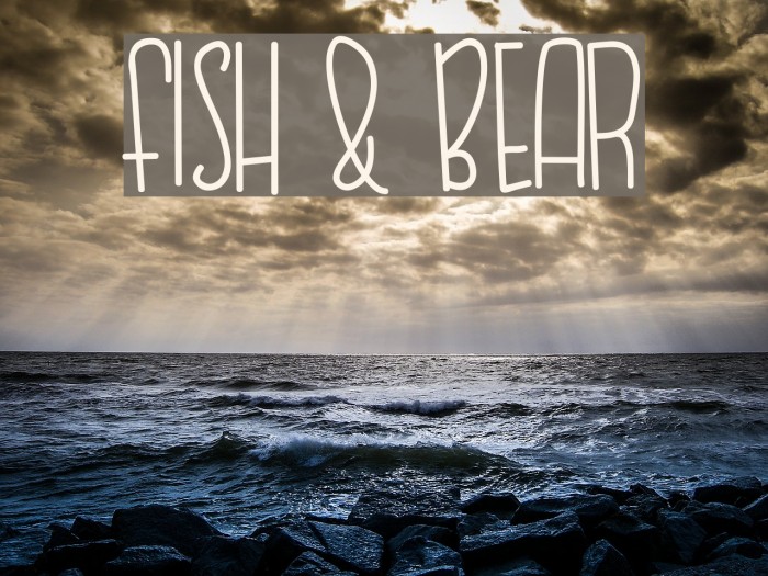 FISH & BEAR Example 1