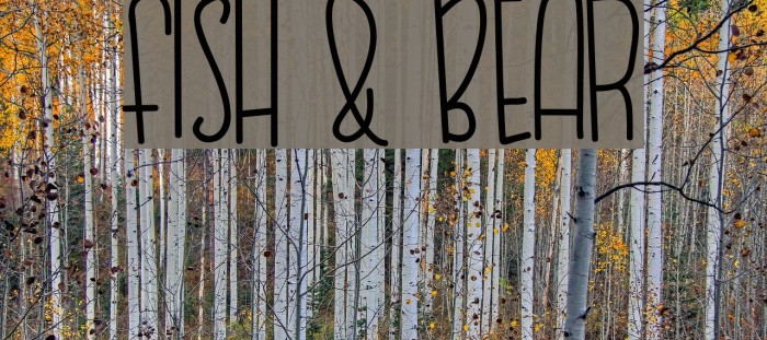 FISH & BEAR Example 2