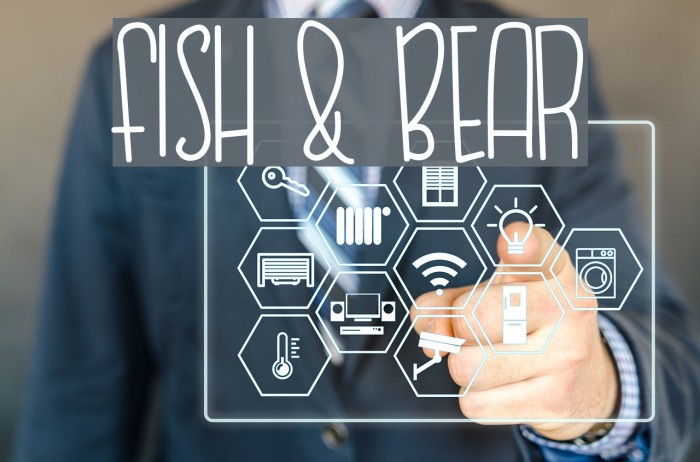 FISH & BEAR Example 3