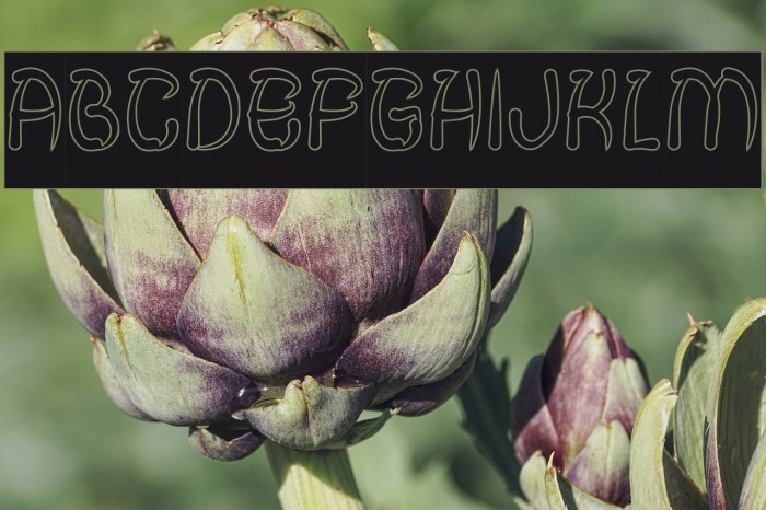 FISH BONE-Hollow-Inverse Font examples