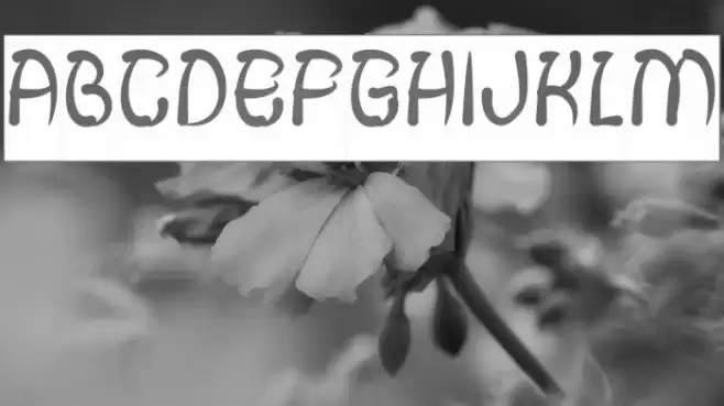 FISH BONE-Inverse Font examples