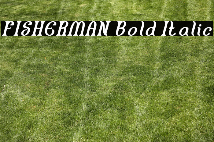 FISHERMAN Bold Italic Example 2