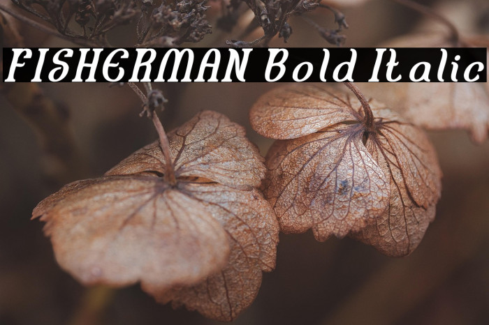 FISHERMAN Bold Italic Example 3