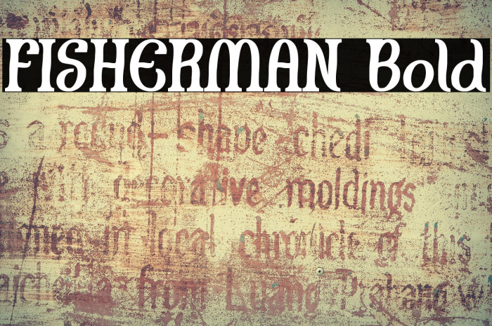 FISHERMAN Bold Example 1