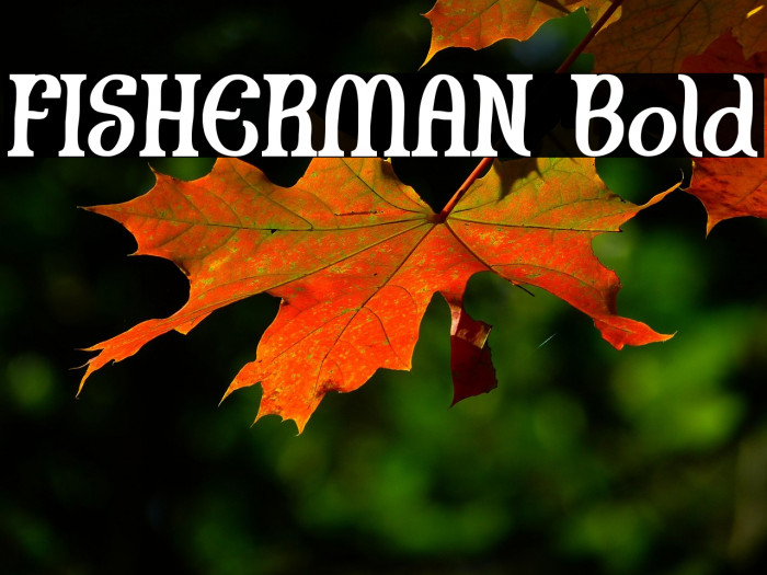FISHERMAN Bold Example 2
