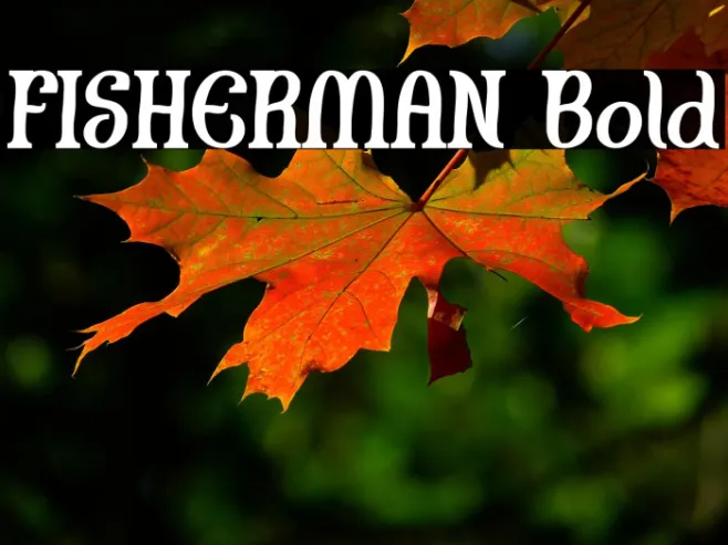 FISHERMAN Bold Example 2