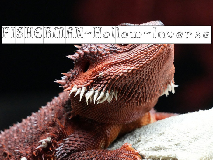 FISHERMAN-Hollow-Inverse Example 1