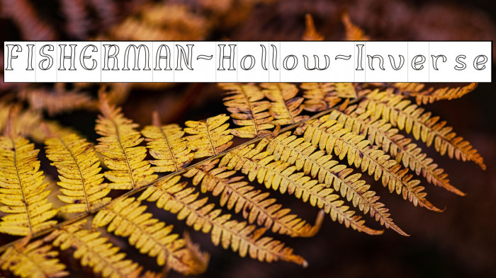 FISHERMAN-Hollow-Inverse Example 2