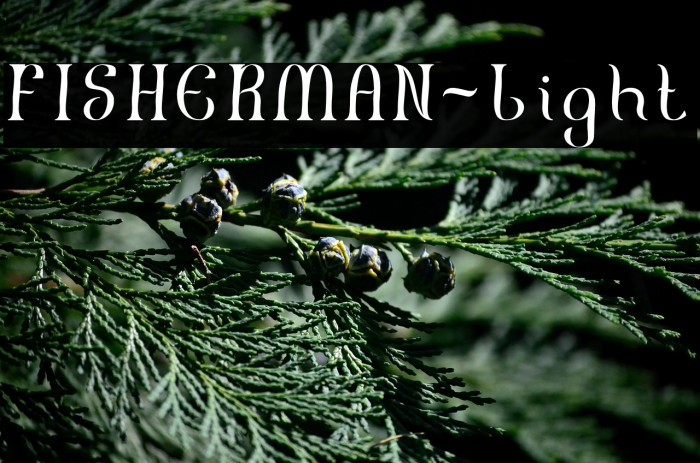 FISHERMAN-Light Example 3