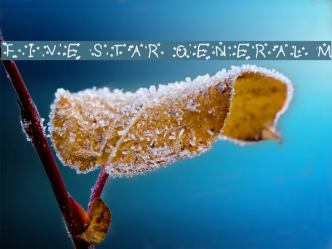 FIVE STAR GENERAL Medium Example 1
