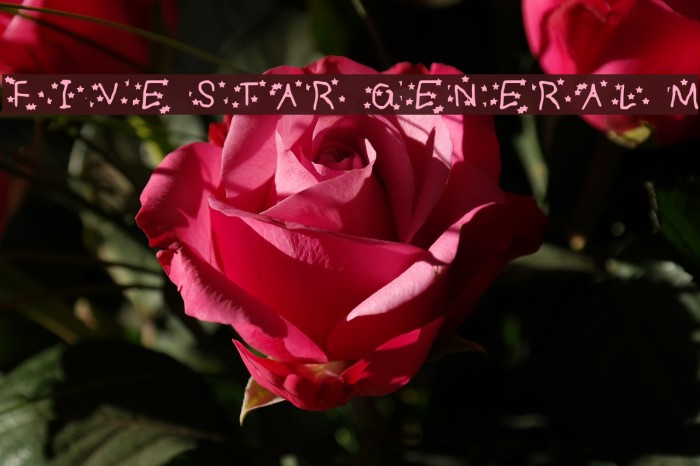 FIVE STAR GENERAL Medium Font examples