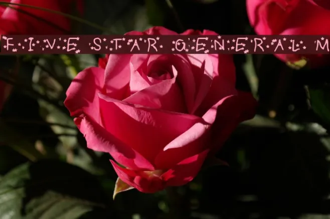 FIVE STAR GENERAL Medium Example 2
