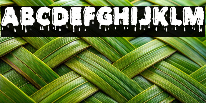 FIZZYBLOODPERSONALUSE-Bold Example 3