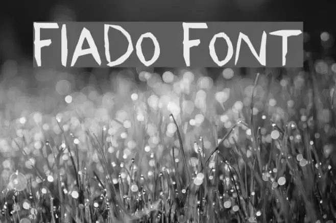 Fiado Font examples