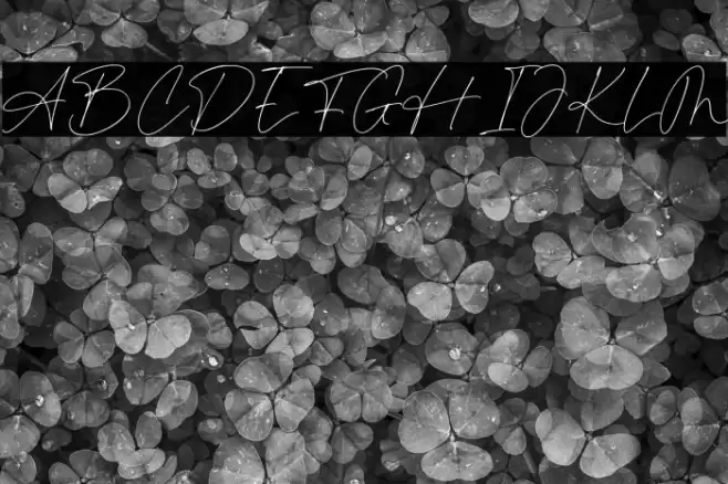 Fiance Rosalie Шрифта examples