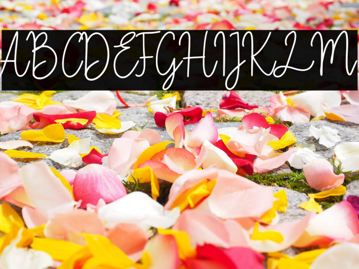 Fiandata Marlyne Example 1