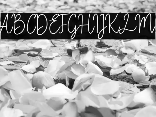 Fiandata Marlyne Font examples