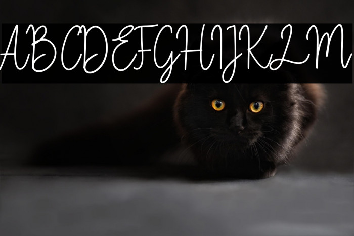 Fiandata Marlyne Example 2