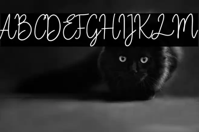 Fiandata Marlyne Font examples