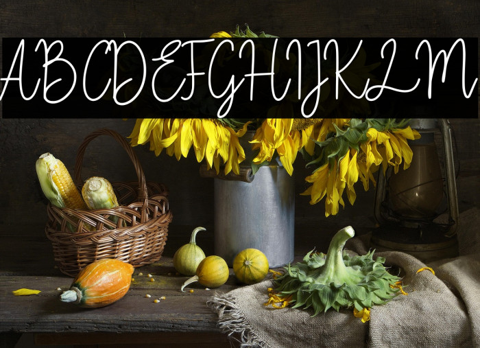 Fiandata Marlyne Example 3