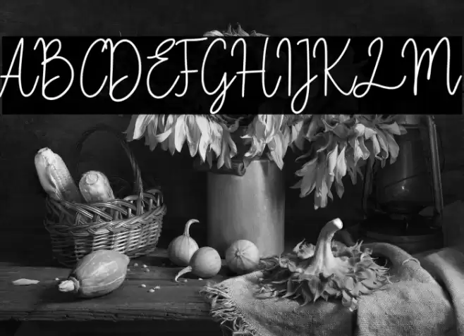 Fiandata Marlyne Font examples