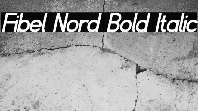 Fibel Nord Bold Italic Font examples