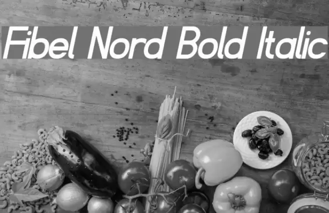 Fibel Nord Bold Italic Font examples