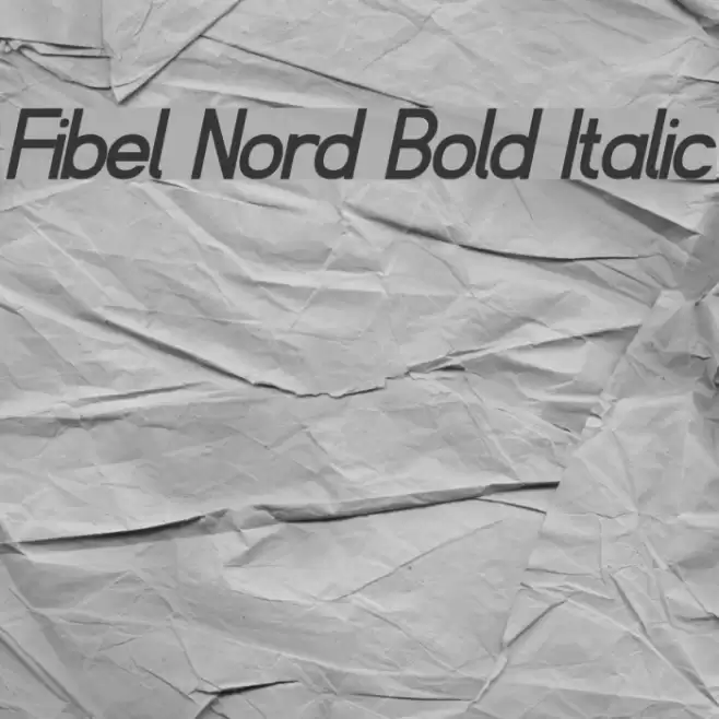 Fibel Nord Bold Italic Font examples