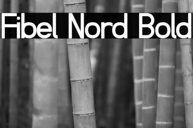 Fibel Nord Bold Font examples