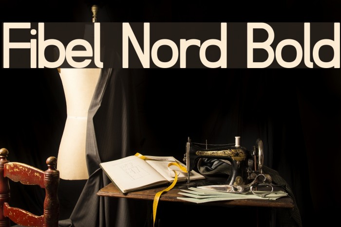 Fibel Nord Bold Font examples